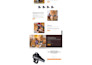build shopify store or dropshipping ecommerce store, shopify website